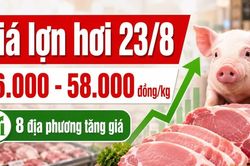 Giá lợn hơi hôm nay 23/8: Miền Bắc đồng loạt áp sát 58.000 đồng/kg