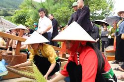 Hấp dẫn Lễ hội cốm “Hương sắc mùa Thu Tú Lệ” năm 2026