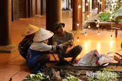 Ninh Bình tạm dừng, hạn chế một số hoạt động du lịch do ảnh hưởng của bão số 4