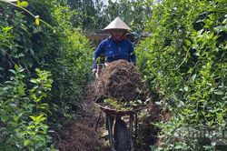 Xanh hóa sản xuất
