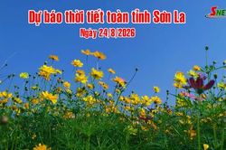 Dự báo thời tiết toàn tỉnh Sơn La ngày 24/8/2026