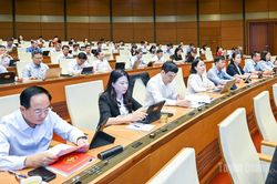 Đại biểu Quốc hội tỉnh tham gia g&oacute;p &yacute; dự thảo Bộ luật Tố tụng h&igrave;nh sự (sửa đổi)
