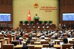 Quốc hội thông qua Luật sửa đổi, bổ sung một số điều của Luật Hải quan