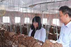 Từ hỗ trợ máy móc đến nâng tầm chuỗi giá trị