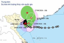 Tin b&atilde;o khẩn cấp - cơn b&atilde;o số 4
