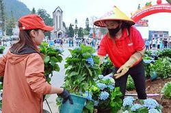 Phong trào 'Sa Pa Green' - chiến lược cải thiện môi trường, chất lượng dịch vụ cho Sa Pa