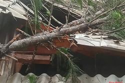 Mưa lớn gây thiệt hại khoảng 1,2 tỷ đồng