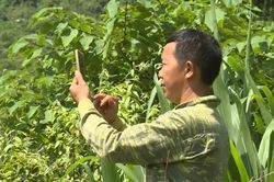 'Lõm sóng' giữa hành trình chuyển đổi số