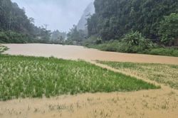 Chủ động các giải pháp đảm bảo an toàn, giảm thiểu thiệt hại do bão số 4