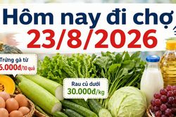 Hôm nay đi chợ 23/8: Trứng gà từ 26.000 đồng/10 quả, nhiều rau củ dưới 30.000 đồng/kg
