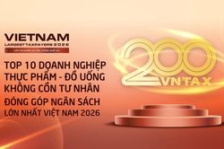 Hơn 11.000 tỷ đồng vào ngân sách: 10 'ông lớn' thực phẩm - đồ uống đang kiếm tiền ra sao?