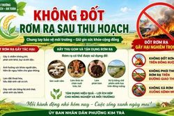 Tp. Huế: Xây dựng không gian xanh ở Kim Trà - Không đốt rơm rạ sau thu hoạch