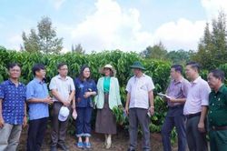 Đồng Nai: Xã Bom Bo đẩy mạnh ứng dụng khoa học kỹ thuật, phát triển nông nghiệp bền vững