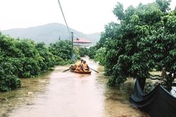 Hơn 100 hộ dân ở Bắc Ninh bị cô lập, chính quyền kêu gọi thuyền cứu hộ