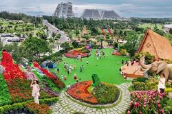 Ngắm ng&agrave;n hoa bung nở tại phố biển Quy Nhơn