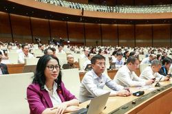 Hàng hóa thương mại điện tử xuất nhập khẩu phải làm thủ tục hải quan