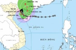 Tin mới nhất về bão số 4 Narra