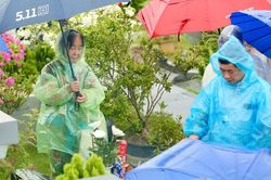 Xúc động những cụ bà Hà Nội 'đội' mưa vượt gần 100 km đến nghĩa trang để thực hành lễ Vu Lan