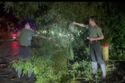 Thái Nguyên huy động lực lượng sẵn sàng ứng phó mưa lũ