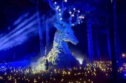 Đêm Đà Lạt 'thức giấc' với vũ trụ ánh sáng kỳ ảo tại Delight Park