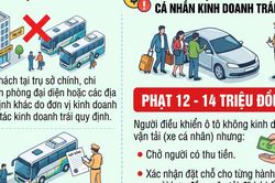 Nghị định 238/2026/NĐ-CP: Những quy định mới li&ecirc;n quan đến hoạt động kinh doanh vận tải h&agrave;nh kh&aacute;ch