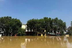 Báo động lũ trên sông Tích và sông Cầu