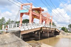 Đồng Tháp lên phương án ứng phó hạn, mặn có thể xảy ra sớm
