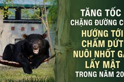 Tăng tốc chặng đường cuối, hướng tới chấm dứt nuôi nhốt gấu lấy mật trong năm 2026