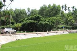 Đà Nẵng tập trung giải ngân vốn Chương trình mục tiêu quốc gia