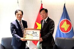 Từ dấu mốc 800 năm đến K-Vietnam Valley: Xây dựng biểu tượng mới của quan hệ Việt-Hàn