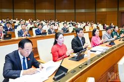 Hơn 800 nghìn tỷ đồng thực hiện Chương trình mục tiêu quốc gia từ 2026-2030