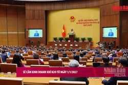 [Video] Sẽ cấm kinh doanh khí N2O từ 1/1/2027