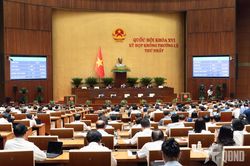 Quốc hội sửa 10 luật trong lĩnh vực nông nghiệp và môi trường: Chủ động rà soát các loại thuốc bảo vệ thực vật không bảo đảm an toàn