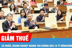 Những cá nhân, doanh nghiệp nào sẽ được giảm 30% thuế thu nhập?