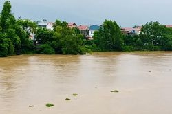 Bắc Ninh: Hơn 1.400 hộ dân phải di dời, lũ trên nhiều sông vượt báo động III