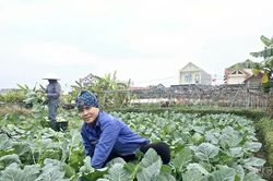 Quảng Ninh: Bứt tốc kinh tế tập thể để tái thiết nông thôn