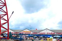 TP Hồ Ch&iacute; Minh: Đẩy mạnh truy xuất nguồn gốc để minh bạch, n&acirc;ng tầm gi&aacute; trị n&ocirc;ng, l&acirc;m, thủy sản