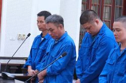 Đào ma túy chôn dưới vườn lên phơi nắng, người đàn ông bị bắt