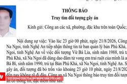 Truy tìm người đàn ông đâm em trai tử vong rồi bỏ trốn