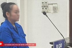 'Bánh vẽ' đầu tư đất, chiếm đoạt gần 12 tỷ đồng