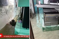 Ninh Bình: Gần 400 hộ dân ở Kênh Gà bị ngập lụt
