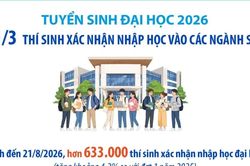 Tuyển sinh đại học 2026: Có 1/3 thí sinh xác nhận nhập học vào các ngành STEM