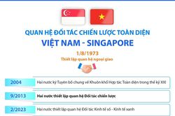 Quan hệ Đối tác chiến lược toàn diện Việt Nam - Singapore