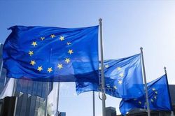 Iceland trưng cầu dân ý về việc nối lại đàm phán gia nhập EU