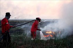 El Nino khiến cháy rừng tại Indonesia bùng phát dữ dội hơn