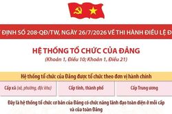 Quy định số 208-QĐ/TW: Hệ thống tổ chức của Đảng