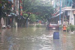 Hải Phòng: Mưa lớn gây sạt lở, khẩn trương di dời dân đến nơi an toàn