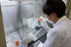 Lần đầu tiên phát triển thuốc dựa trên virus điều trị ung thư thực quản
