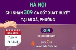H&agrave; Nội ghi nhận 309 ca mắc sốt xuất huyết tại 65 x&atilde;, phường