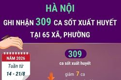 Hà Nội ghi nhận 309 ca mắc sốt xuất huyết tại 65 xã, phường